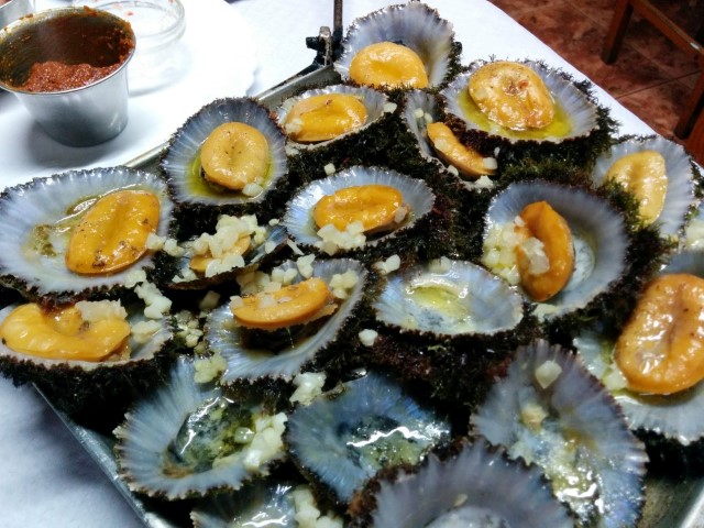 Meeresschnecken mit vieeel Koblauch