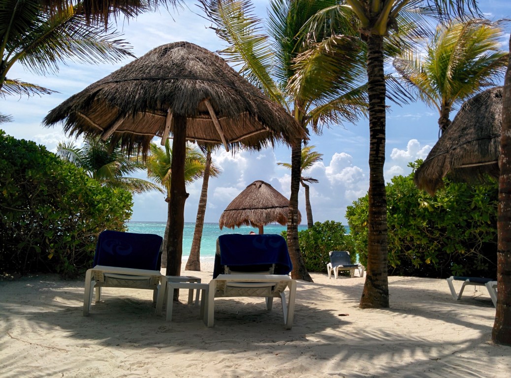 Liegen direkt unter Palmen am Meer