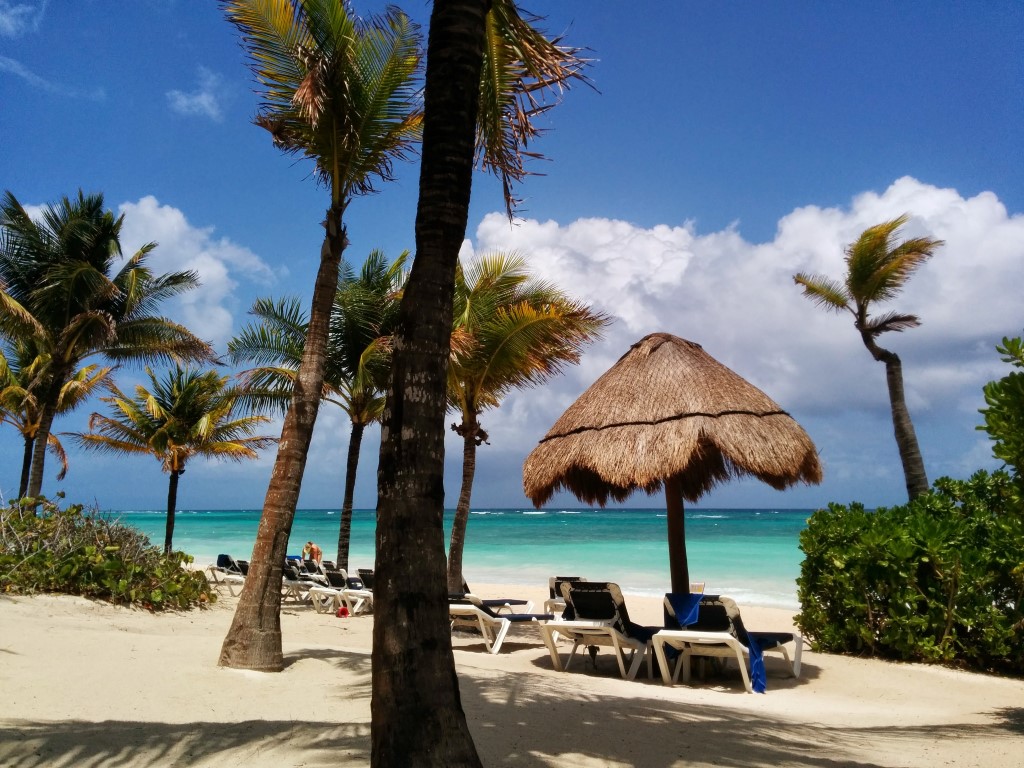 wunderbare AUssicht unter Palmen direkt am Meer